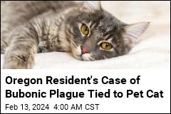 Oregon Resident&#39;s Case of Bubonic Plague Tied to Pet Cat