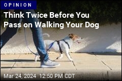 Think Twice Before You Pass on Walking Your Dog