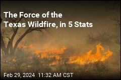 The Force of the Texas Wildfire, in 5 Stats