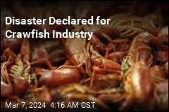 Louisiana Declares Crawfish Disaster
