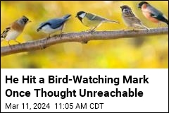 He Hit a Bird-Watching Mark Once Thought Unreachable