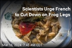 Scientists Urge French to Cut Down on Frog Legs