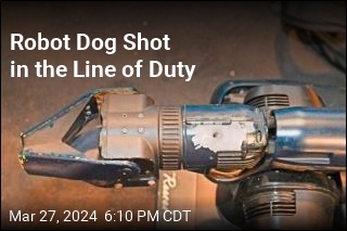 Robot Dog Shot in the Line of Duty