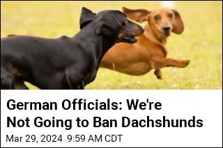 Germany: No, We&#39;re Not Banning Dachshunds