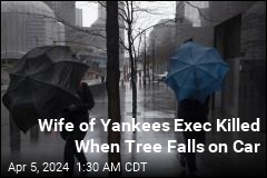 Wife of Yankees Exec Killed as Storm Pounds New York