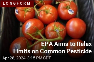 EPA Aims to Relax Limits on Common Pesticide