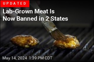 DeSantis Bans Lab-Grown Meat