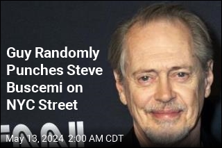 Steve Buscemi Gets Punched in the Face on NYC Street