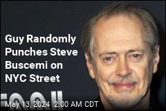 Steve Buscemi Gets Punched in the Face on NYC Street