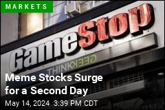 Meme Stocks Surge for a Second Day