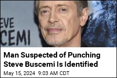 Man Suspected of Punching Steve Buscemi Is Identified