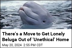 There&#39;s a Move to Get Lonely Beluga Out of &#39;Unethical&#39; Home