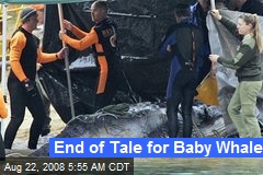End of Tale for Baby Whale