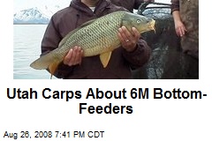Utah Carps About 6M Bottom-Feeders