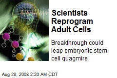 Scientists Reprogram Adult Cells