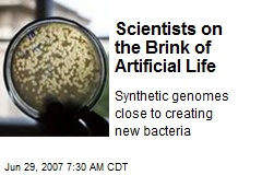 Scientists on the Brink of Artificial Life