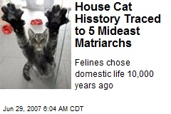 House Cat Hisstory Traced to 5 Mideast Matriarchs
