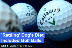 'Rattling' Dog's Diet Included Golf Balls