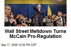 Wall Street Meltdown Turns McCain Pro-Regulation