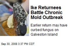 Ike Returnees Battle Chronic Mold Outbreak