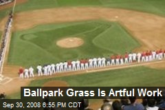 Ballpark Grass Is Artful Work