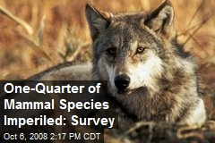 One-Quarter of Mammal Species Imperiled: Survey