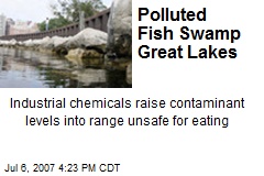 Polluted Fish Swamp Great Lakes