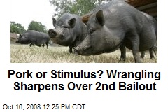 Pork or Stimulus? Wrangling Sharpens Over 2nd Bailout