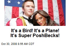 It's a Bird! It's a Plane! It's Super PoshBecks!