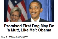 Promised First Dog May Be 'a Mutt, Like Me': Obama