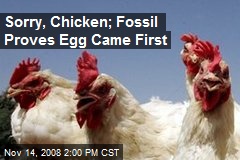 Sorry, Chicken; Fossil Proves Egg Came First