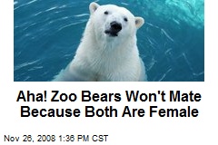 Aha! Zoo Bears Won't Mate Because Both Are Female