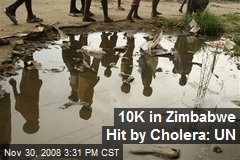 10K in Zimbabwe Hit by Cholera: UN