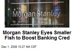 Morgan Stanley Eyes Smaller Fish to Boost Banking Cred