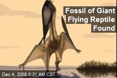 police fossil traders prehistoric flying reptile