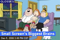 Small Screen's Biggest Brains