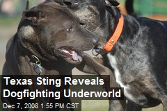 Texas Sting Reveals Dogfighting Underworld