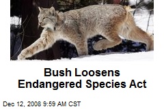 Bush Loosens Endangered Species Act