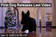 First Dog Releases Last Video