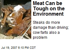 Meat Can be Tough on the Environment