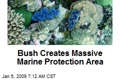 Bush Creates Massive Marine Protection Area