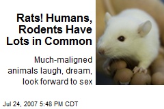 Rats! Humans, Rodents Have Lots in Common