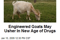 Engineered Goats May Usher In New Age of Drugs