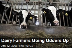Dairy Farmers Going Udders Up