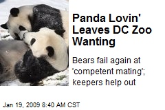 Panda Lovin' Leaves DC Zoo Wanting