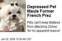 Depressed Pet Mauls Former French Prez