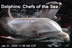 Dolphins: Chefs of the Sea