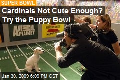 Cardinals Not Cute Enough? Try the Puppy Bowl