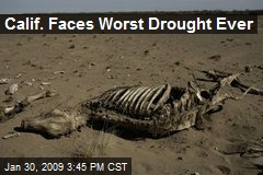 Calif. Faces Worst Drought Ever