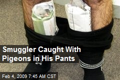 Smuggler Caught With Pigeons in His Pants